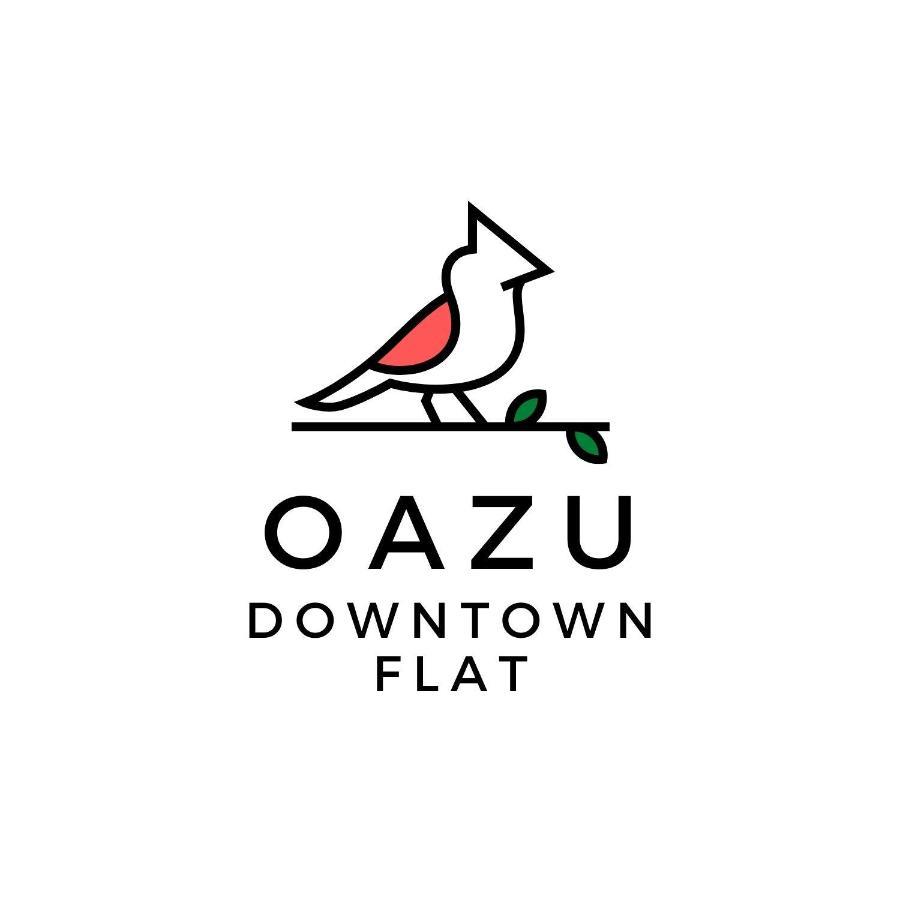 Oazu Downtown Flat — Photos 3